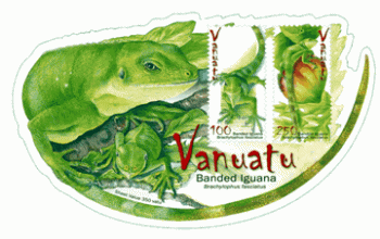 Banded Iguana